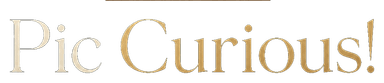 PicCurious